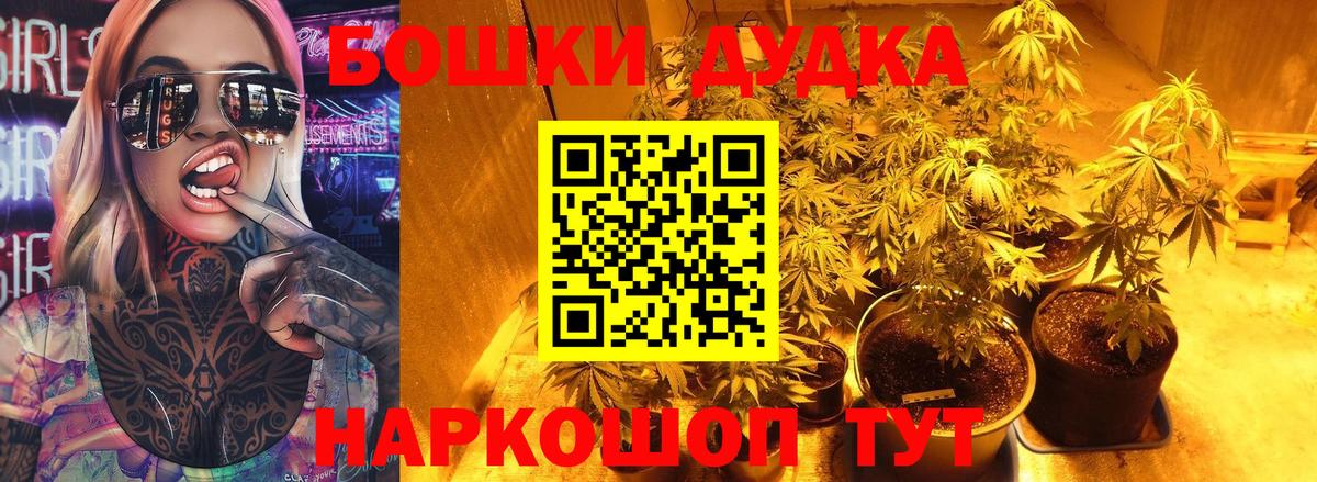 Канабис семена  МАРИХУАНА план  Скопин  Канабис OG Kush  Вход с VPN 